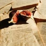 A sliced fig placed on aged, yellowed text pages creating an artistic still life.